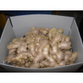 Different Sizes Of Air-dired Ginger In Different Packagings